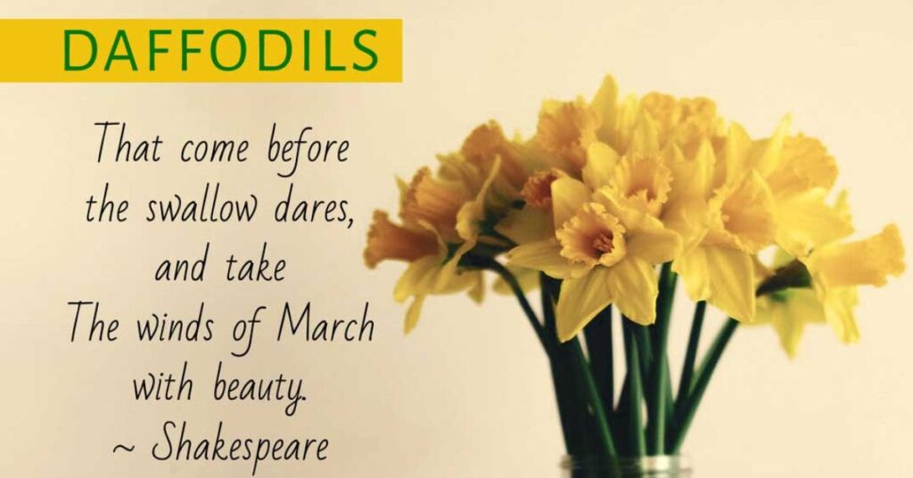 Cute & Simple Quotes for Everyday Joy