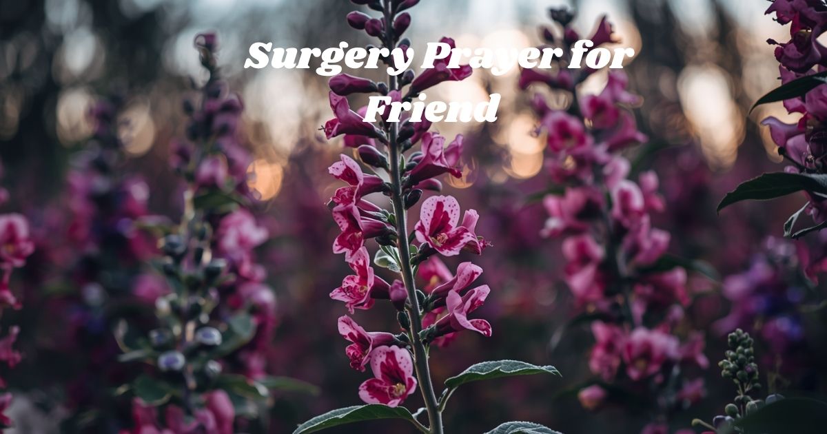 Surgery Prayer for Friend
