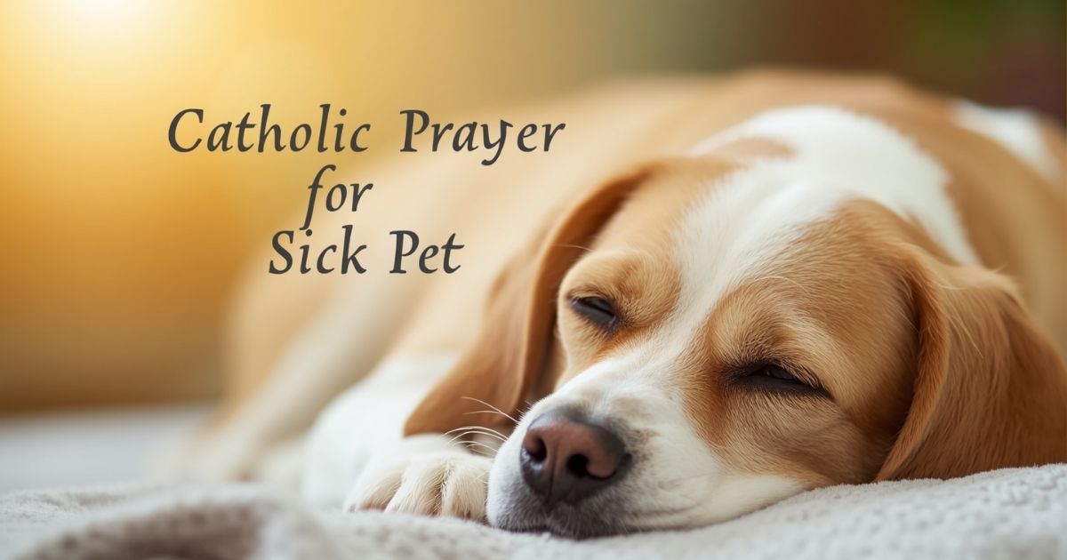 Catholic Prayer for Sick Pet